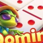 Daftar Akun Domino OVO Terbaik di Indonesia