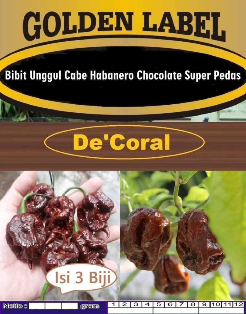 Daftar Habanero Populer di Indonesia: Pilihan Terbaik untuk Pecinta Pedas