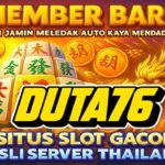 Permainan Sicbo Qris: Panduan dan Strategi Menang Sicbo Terbaru